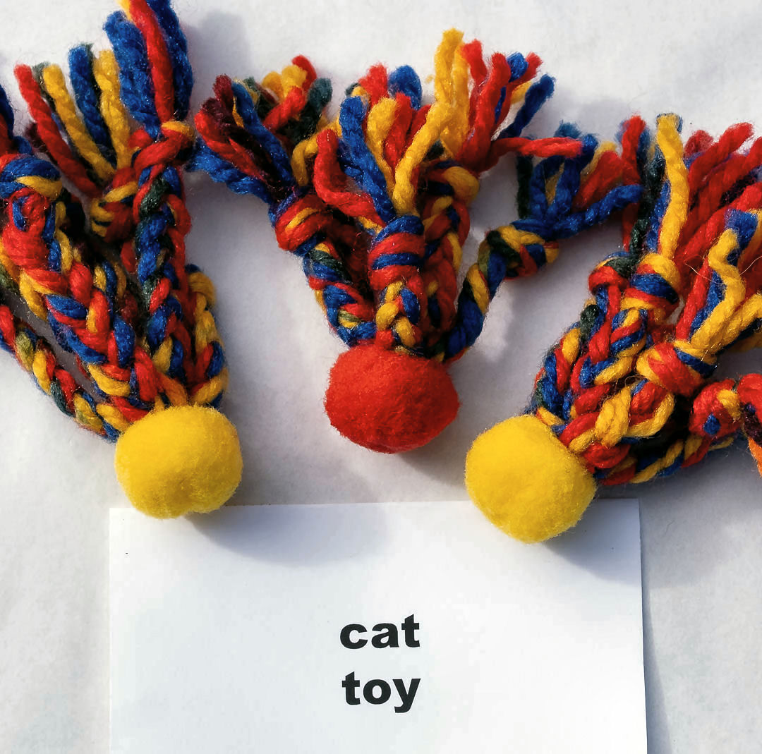 cattoy